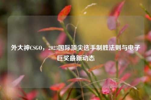 外大神CSGO，2023国际顶尖选手制胜法则与电子巨奖最新动态