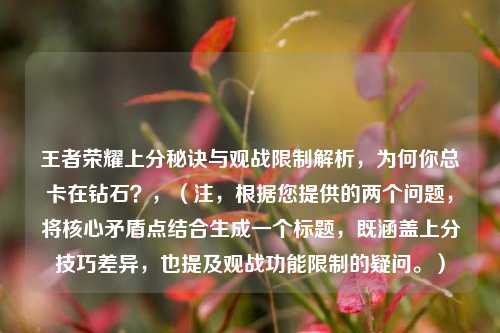 王者荣耀上分秘诀与观战限制解析，为何你总卡在钻石？，（注，根据您提供的两个问题，将核心矛盾点结合生成一个标题，既涵盖上分技巧差异，也提及观战功能限制的疑问。）