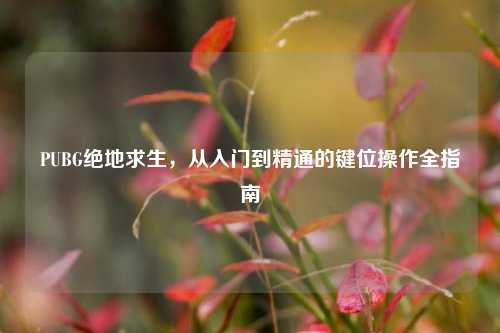 PUBG绝地求生，从入门到精通的键位操作全指南