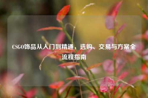 CSGO饰品从入门到精通，选购、交易与方案全流程指南