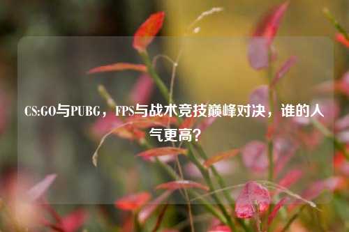 CS:GO与PUBG，FPS与战术竞技巅峰对决，谁的人气更高？