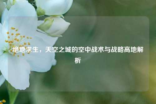 绝地求生，天空之城的空中战术与战略高地解析
