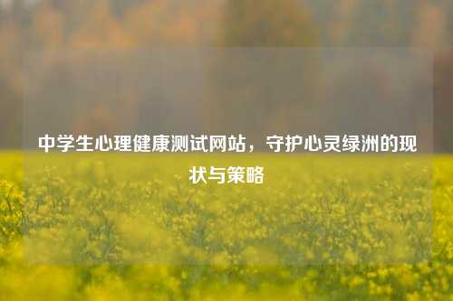 中学生心理健康测试网站，守护心灵绿洲的现状与策略
