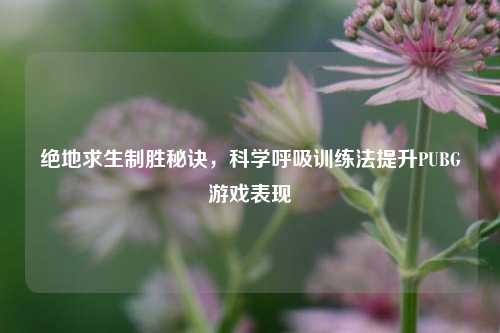 绝地求生制胜秘诀，科学呼吸训练法提升PUBG游戏表现