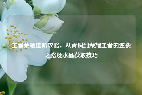 详细阅读:王者荣耀进阶攻略,从青铜到荣耀王者的逆袭之路及水晶获取技巧 王者荣耀进阶攻略,从青铜到荣耀王者的逆袭之路及水晶获取技巧