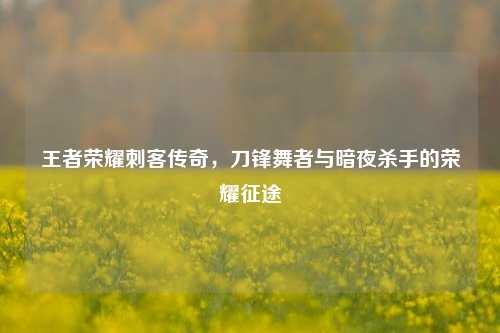 王者荣耀刺客传奇，刀锋舞者与暗夜杀手的荣耀征途