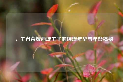 暃，王者荣耀西域王子的璀璨年华与年龄揭秘