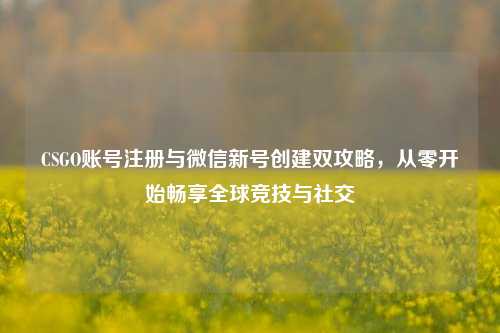 详细阅读:CSGO账号注册与微信新号创建双攻略,从零开始畅享全球竞技与社交 CSGO账号注册与微信新号创建双攻略,从零开始畅享全球竞技与社交