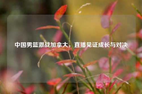 中国男篮激战加拿大，直播见证成长与对决