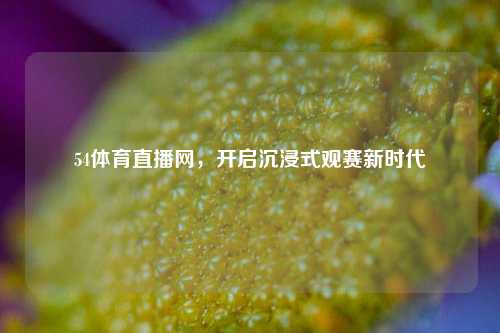54体育直播网,开启沉浸式观赛新时代