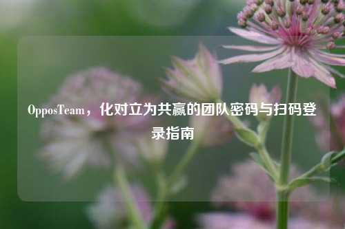 OpposTeam，化对立为共赢的团队密码与扫码登录指南