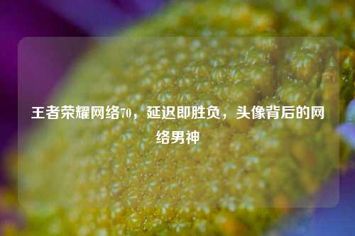 王者荣耀 *** 70，延迟即胜负，头像背后的 *** 男神