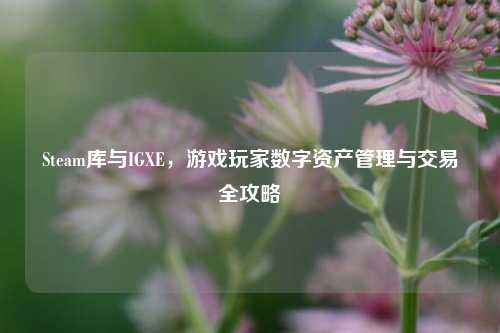 Steam库与IGXE,游戏玩家数字资产管理与交易全攻略