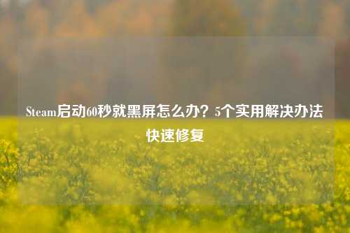 Steam启动60秒就黑屏怎么办?5个实用解决办法快速修复