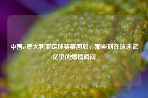 中国vs澳大利亚足球赛事回放,那些刻在球迷记忆里的燃情瞬间