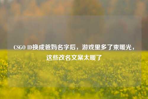 CSGO ID换成爸妈名字后,游戏里多了束暖光,这些改名文案太暖了