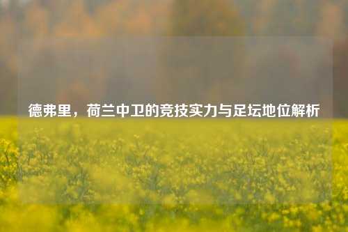 德弗里,荷兰中卫的竞技实力与足坛地位解析