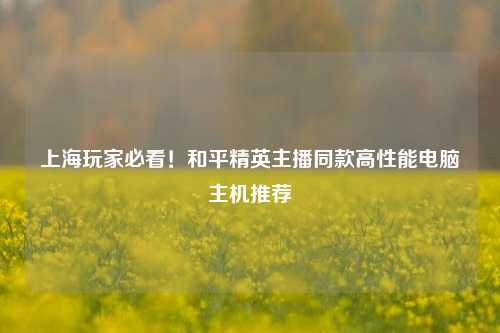 上海玩家必看!和平精英主播同款高性能电脑主机推荐