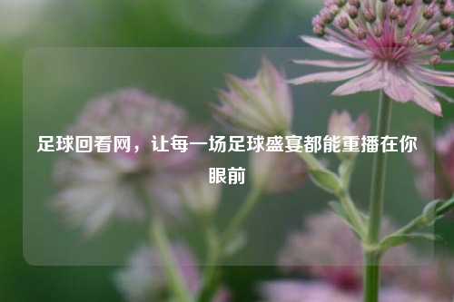 足球回看网,让每一场足球盛宴都能重播在你眼前