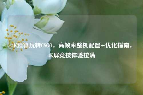 4K预算玩转CSGO,高帧率整机配置+优化指南,4K屏竞技体验拉满