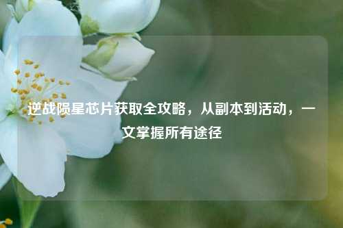 逆战陨星芯片获取全攻略,从副本到活动,一文掌握所有途径