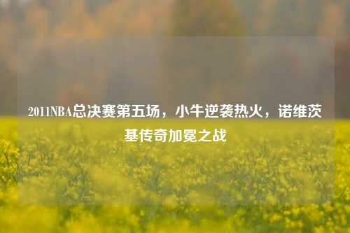 2011NBA总决赛第五场,小牛逆袭热火,诺维茨基传奇加冕之战