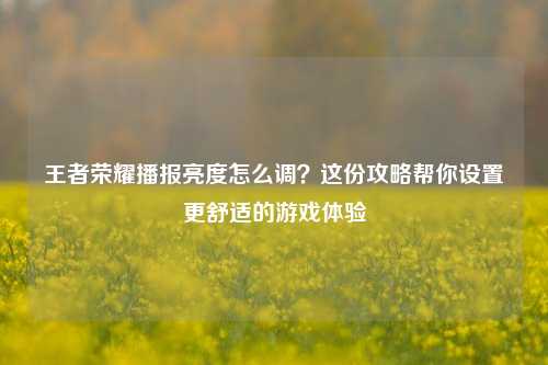 王者荣耀播报亮度怎么调?这份攻略帮你设置更舒适的游戏体验