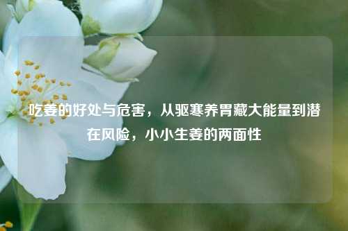 吃姜的好处与危害,从驱寒养胃藏大能量到潜在风险,小小生姜的两面性