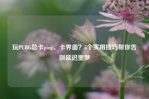 玩PUBG总卡ping、卡界面？5个实用技巧帮你告别延迟噩梦