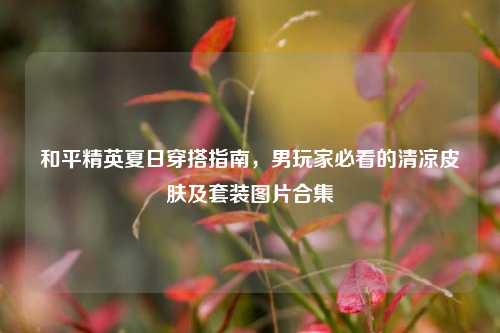 和平精英夏日穿搭指南，男玩家必看的清凉皮肤及套装图片合集