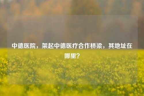 中德医院,架起中德医疗合作桥梁,其地址在哪里?