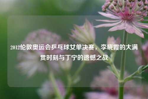 2012伦敦奥运会乒乓球女单决赛,李晓霞的大满贯时刻与丁宁的遗憾之战