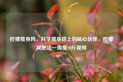 柠檬瘦身网，科学瘦身路上的贴心伙伴，柠檬减肥法一周瘦20斤视频