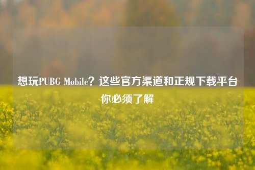 想玩PUBG Mobile?这些官方渠道和正规下载平台你必须了解