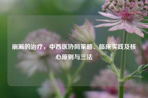 崩漏的治疗,中西医协同策略、临床实践及核心原则与三法