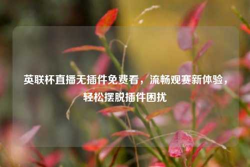 英联杯直播无插件免费看,流畅观赛新体验,轻松摆脱插件困扰