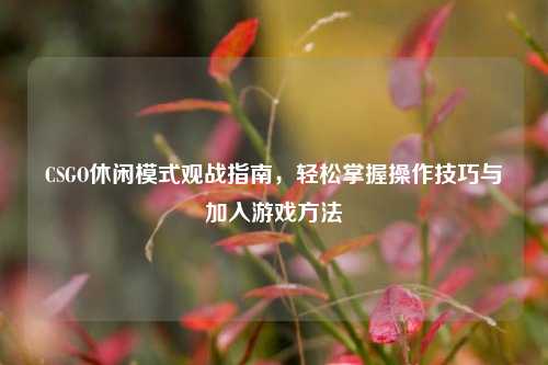 CSGO休闲模式观战指南,轻松掌握操作技巧与加入游戏 ***