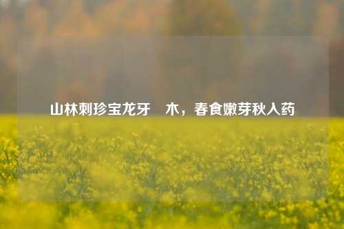 山林刺珍宝龙牙楤木,春食嫩芽秋入药