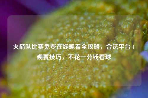 火箭队比赛免费在线观看全攻略,合法平台+观赛技巧,不花一分钱看球