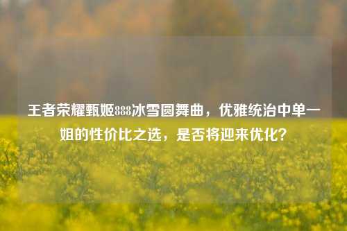 王者荣耀甄姬888冰雪圆舞曲，优雅统治中单一姐的性价比之选，是否将迎来优化？