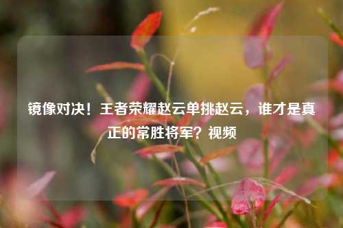 镜像对决！王者荣耀赵云单挑赵云，谁才是真正的常胜将军？视频