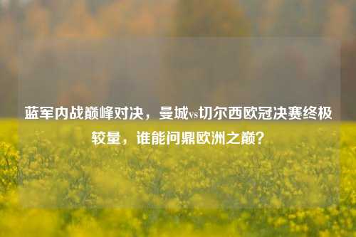 蓝军内战巅峰对决,曼城vs切尔西欧冠决赛终极较量,谁能问鼎欧洲之巅?