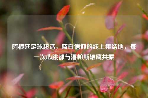 阿根廷足球超话,蓝白信仰的线上集结地,每一次心跳都与潘帕斯雄鹰共振