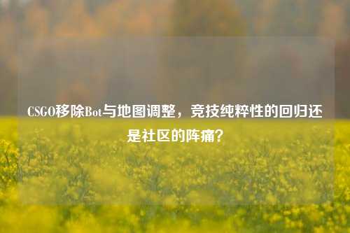CSGO移除Bot与地图调整,竞技纯粹性的回归还是社区的阵痛?
