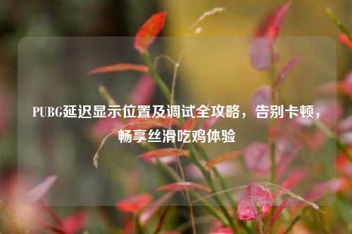 PUBG延迟显示位置及调试全攻略,告别卡顿,畅享丝滑吃鸡体验