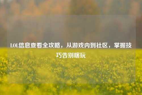 LOL信息查看全攻略,从游戏内到社区,掌握技巧告别瞎玩