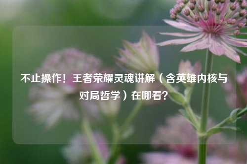 不止操作!王者荣耀灵魂讲解(含英雄内核与对局哲学)在哪看?