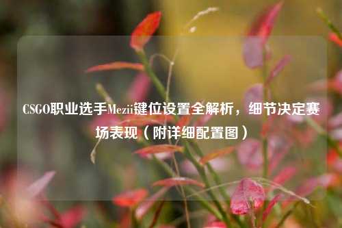 CSGO职业选手Mezii键位设置全解析,细节决定赛场表现(附详细配置图)