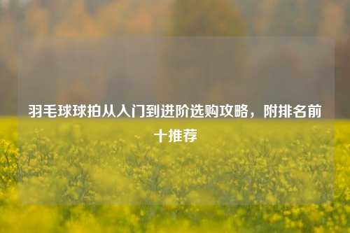 羽毛球球拍从入门到进阶选购攻略,附排名前十推荐