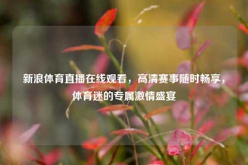 新浪体育直播在线观看,高清赛事随时畅享,体育迷的专属 *** 盛宴